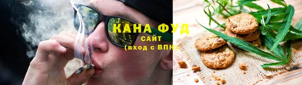 молекула духа Алексеевка