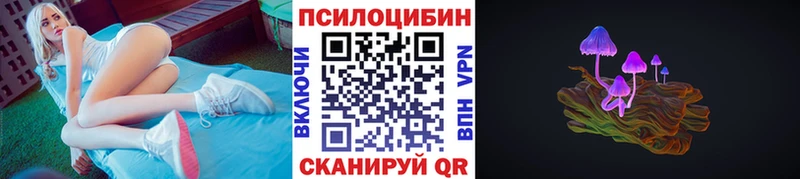 блэк спрут как войти  Хотьково  Галлюциногенные грибы мицелий  купить  